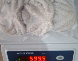 BẠCH TUỘC LÀM SẠCH SIZE 8-12 CON NET 8