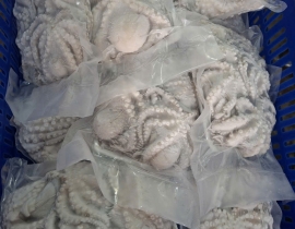 BẠCH TUỘC LÀM SẠCH SIZE 8-12 CON NET 8