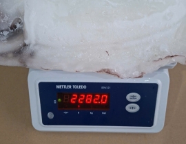 MỰC NANG LÀM SẠCH TRẮNG ĐẸP 2000UP N7 (ĐÃ BAO GỒM MẠ BĂNG) LÔ NHẬP NGÀY 23/04/2026