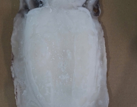 MỰC NANG LÀM SẠCH TRẮNG ĐẸP 2000UP N7 (ĐÃ BAO GỒM MẠ BĂNG) LÔ NHẬP NGÀY 23/04/2026