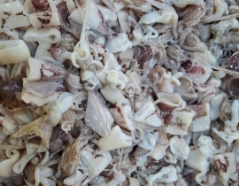 MỰC ỐNG CẮT KHOANH 2,3-3CM CÒN DA