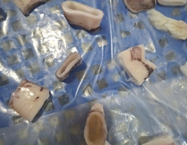 MỰC ỐNG CẮT KHOANH 2,3-3CM CÒN DA