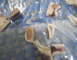 MỰC ỐNG CẮT KHOANH 2,3-3CM CÒN DA