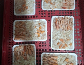 THỊT GHẸ COMBO NET 5 XẾP KHAY 250G 