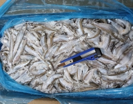CÁ TRỨNG CANADA 56-60 THÙNG 20KG CONT NHẬP NGÀY 06/05/2026