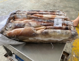 MỰC ỐNG HÀN QUỐC 400-600