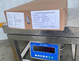 CÁ TRỨNG CANADA THÙNG XÁM SIZE 61-65 THÙNG 10KG LÔ NHẬP NGÀY 20/05/2026 