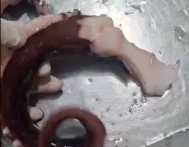 RÂU MỰC ĐẠI DƯƠNG ĐỦ KG - HÀNG XỊN KHÔNG BỞ