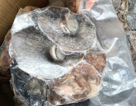 MẮT CÁ NGỪ LOẠI 1