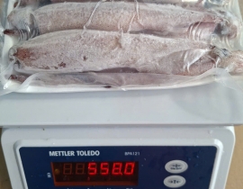 MỰC TRỨNG 15UP B VỈ 500G N8 (ĐÃ BAO GỒM MẠ BĂNG)