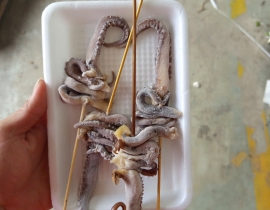 RÂU MỰC ĐẠI DƯƠNG XIÊN QUE
