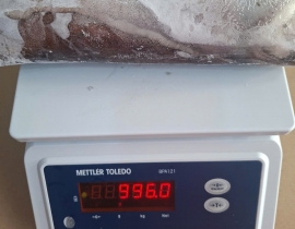 MỰC LÁ CUỘN 2A SIZE 800G-1KG