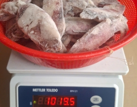 MỰC ỐNG TRÓC DA 8-12CM ĐÓNG XÔ ĐỦ KG