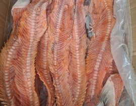 XƯƠNG CÁ HỒI 