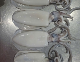 MỰC LÁ 100-300G LÀM SẠCH DÂ
