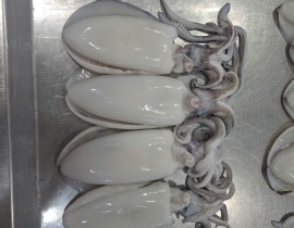 MỰC LÁ 100-300G LÀM SẠCH DÂ