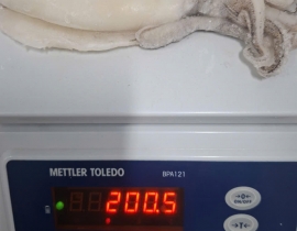MỰC LÁ 100-300G LÀM SẠCH DÂ