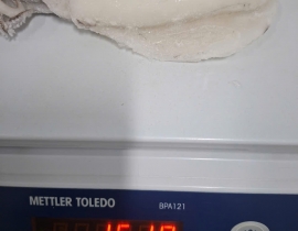 MỰC LÁ 100-300G LÀM SẠCH DÂ