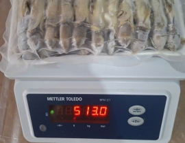 THỊT ỐC MÓNG TAY KHAY 500G ĐỦ KG