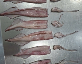 MỰC TRỨNG 15UP LÀM SẠCH TÚI 5KG ĐỦ KG