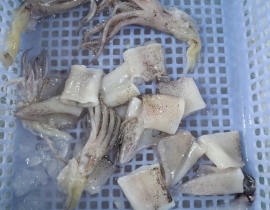 Mực ống cắt khoanh 2-3 cm