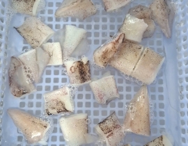 Mực ống cắt khoanh 2-3 cm