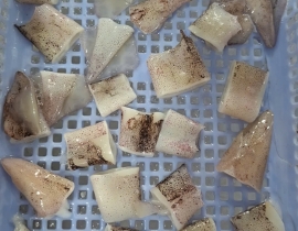 Mực ống cắt khoanh 2-3 cm