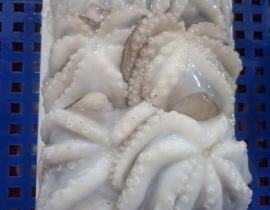Bạch tuộc baby làm sạch size 10-20 con net 8 vỉ 500g 