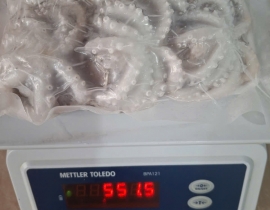 Bạch tuộc baby làm sạch size 10-20 con net 8 vỉ 500g 