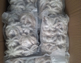 Bạch tuộc baby làm sạch size 10-20 con net 8 vỉ 500g 