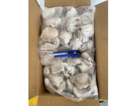 BẠCH TUỘC 10-20 TÚI 2KG N7 (ĐÃ BAO GỒM MẠ BĂNG)