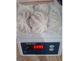 BẠCH TUỘC LÀM SẠCH SIZE 8-12 CON NET 8