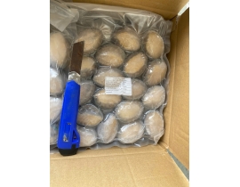 BÀO NGƯ NGUYÊN CON (THÙNG XANH) CONT NGÀY 20/04/2026