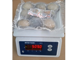 BÀO NGƯ NGUYÊN CON VỈ 500G 9CON