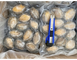 BÀO NGƯ NGUYÊN CON (THÙNG TRẮNG XANH) CONT NGÀY 12/04/2026