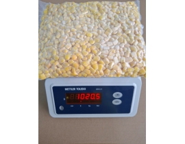 BẮP HẠT NGỌT LÔ NHẬP 15/04/2026