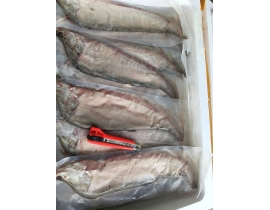 CÁ THÁC LÁC RÚT XƯƠNG - KHÔNG TẨM ỚT - DỒN CHẢ SIZE 3 CON