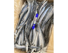 Cá thu đao size 70-100g/ con