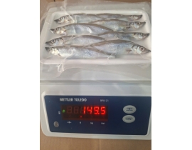 CÁ TRỨNG 8 CON CÁI 100% TRỨNG LÔ NHẬP NGÀY 28/06/2026