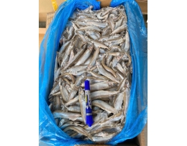 Cá trứng canada 51-55 cont tháng 3/2026 thùng 10kg