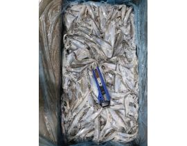 CÁ TRỨNG CANADA 56-60 THÙNG 20KG CONT NHẬP NGÀY 06/05/2026