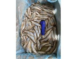 CÁ TRỨNG CANADA THÙNG XÁM 10KG CONT NHẬP 23/04/2026