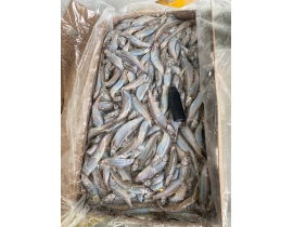 CÁ TRỨNG CANADA THÙNG XÁM SIZE 61-65 THÙNG 10KG LÔ NHẬP NGÀY 20/05/2026 