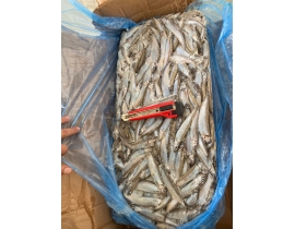 CÁ TRỨNG CANADA THÙNG XÁM SIZE 65+ THÙNG 20KG LÔ NHẬP NGÀY 20/05/2026