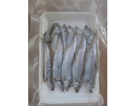 CÁ TRỨNG RA VỈ 500G 50% CÁ CÁI