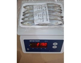 CÁ TRỨNG SIÊU TRỨNG VỈ 200G ĐỦ KG