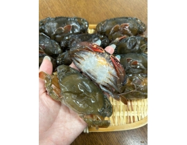 CUA LỘT VIỆT NAM 6-7 CON / TÚI