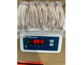 ĐẦU MỰC ILEX RA VĨ NET 5