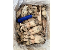 ĐÙI ẾCH LỚN NL