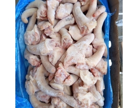 ĐUÔI HEO TONNIES CẮT NGẮN